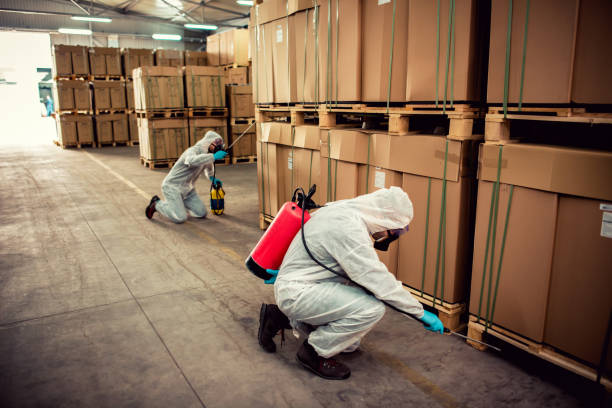 Best Pest Prevention Services  in Green, OH