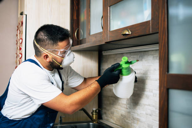 Best Local Pest Control Services  in Green, OH