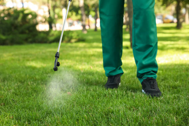 Best Bed Bug Extermination  in Green, OH