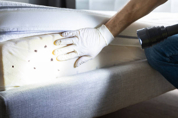 Best Exterminator Services  in Green, OH