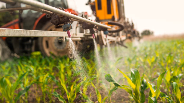 Best Mosquito Control Services  in Green, OH