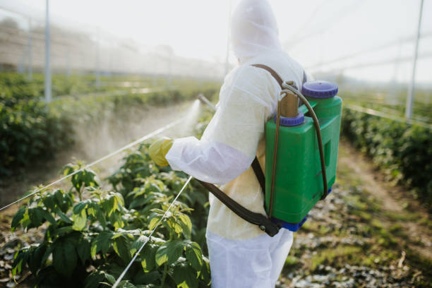 Best Residential Pest Control  in Green, OH